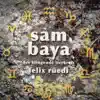 Felix Rüedi - Sam Baya - Der Klingende Tierkreis